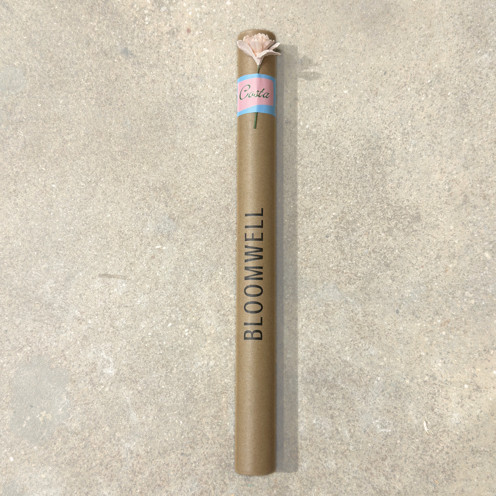 COSTA - INCENSE STICKS