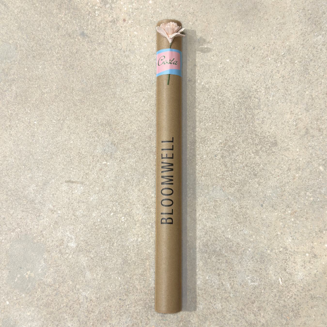 COSTA - INCENSE STICKS