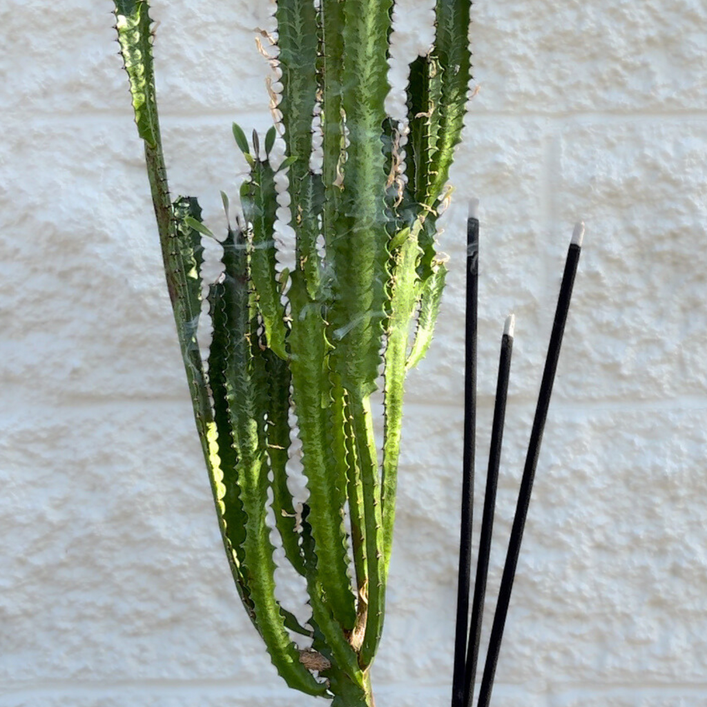 GOLDEN HOUR - OUTDOOR/JUMBO INCENSE STICKS