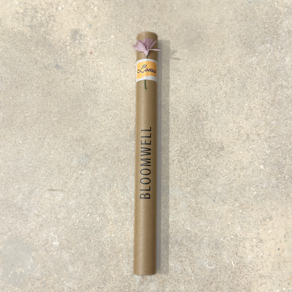 LOMA - INCENSE STICKS
